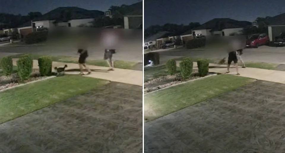 The Perth man picking up Blossom the cat by the tail in her front yard and throwing her. 