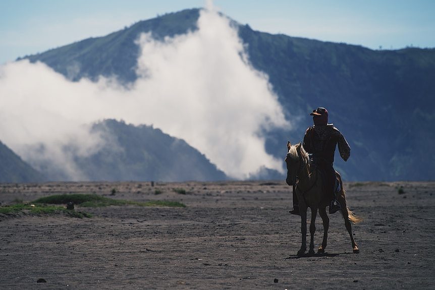 由于要走很长的路才能到达婆罗摩火山的火山边缘，游客们经常骑马前往。