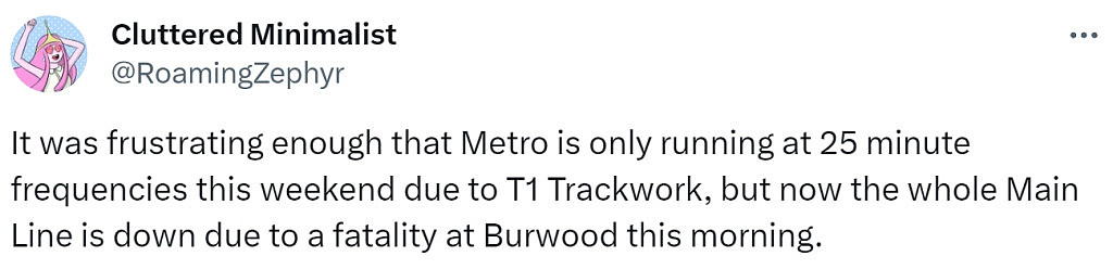 最新！Burwood发生跳轨自杀事件，城铁网络一片混乱，大批乘客被困站台（视频/组图） - 8