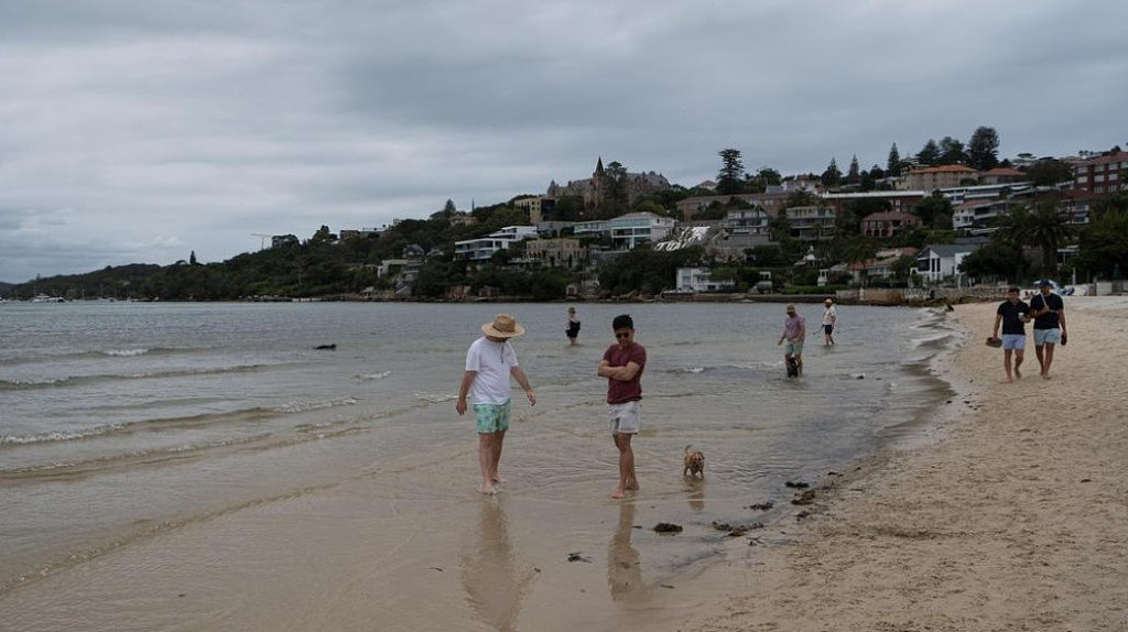 注意！悉尼多个海滩受污染，当局警告：下水需警惕（组图） - 3