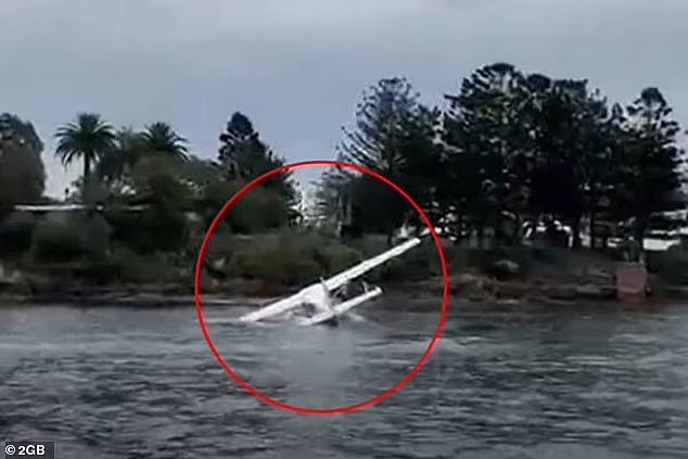 悉尼港突发坠机事故！所幸无人受伤（视频/组图） - 3
