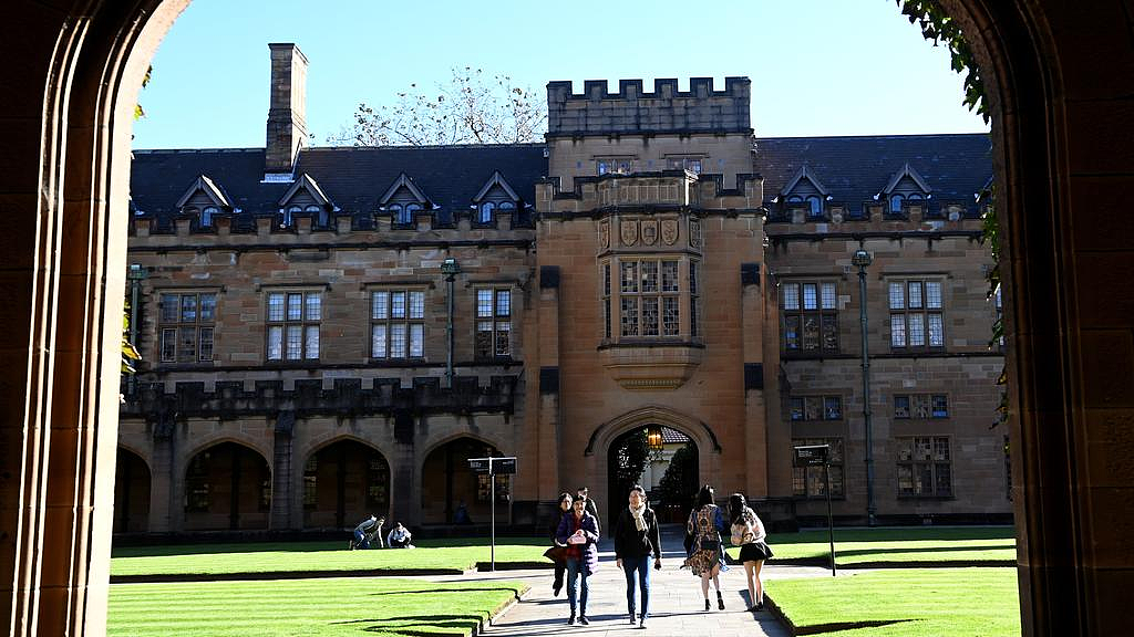 技能短缺、入学率下滑！澳高校呼吁工党提供2万个免费大学名额（组图） - 3