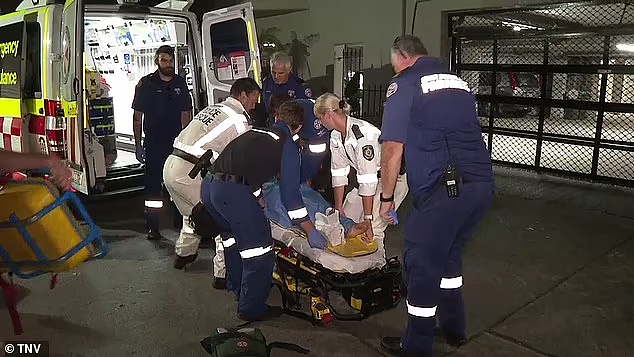 悉尼港发生鲨鱼袭人！女子重伤送医（视频/组图） - 3