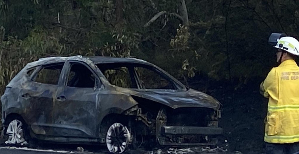 汽车起火烧到只剩框架，悉尼晚高峰交通瘫痪！母女二人逃过一劫（组图） - 2