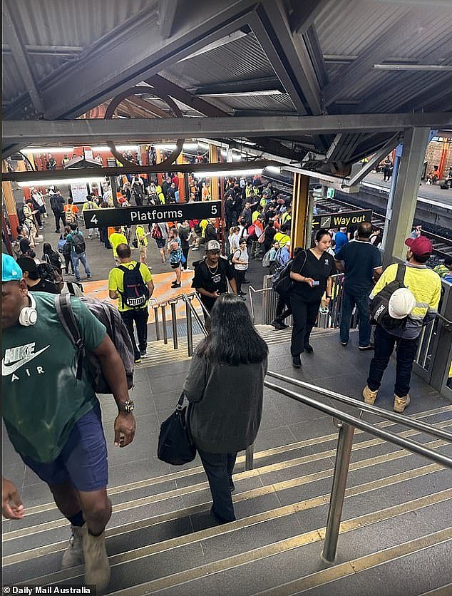 Services between Sydenham and Redfern have resumed but more delays are expected