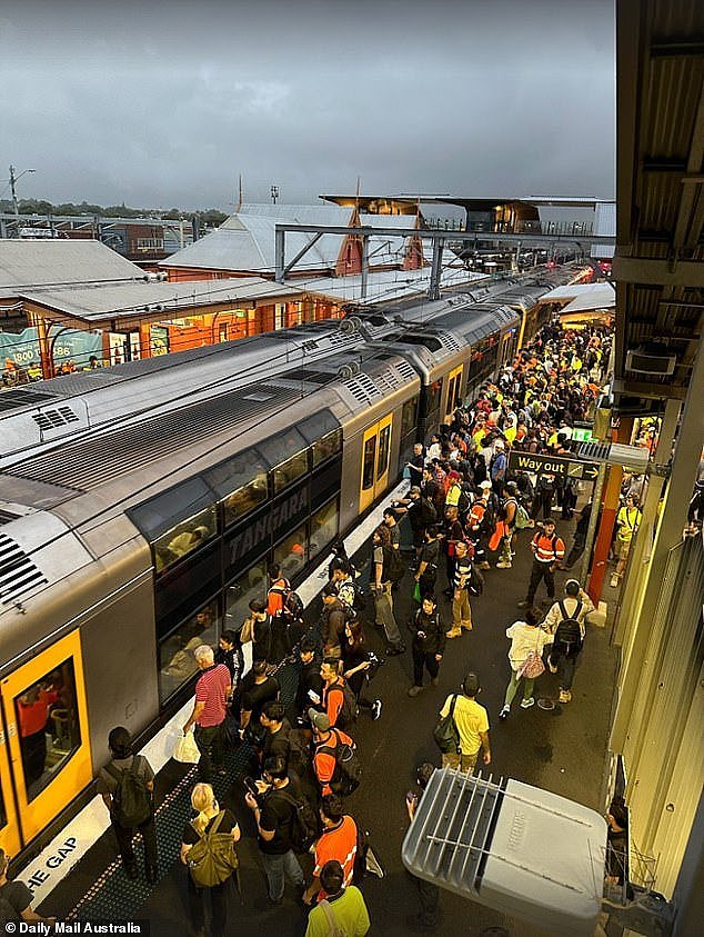 Early morning commuters at Sydenham station described the scenes on the platform as chaos