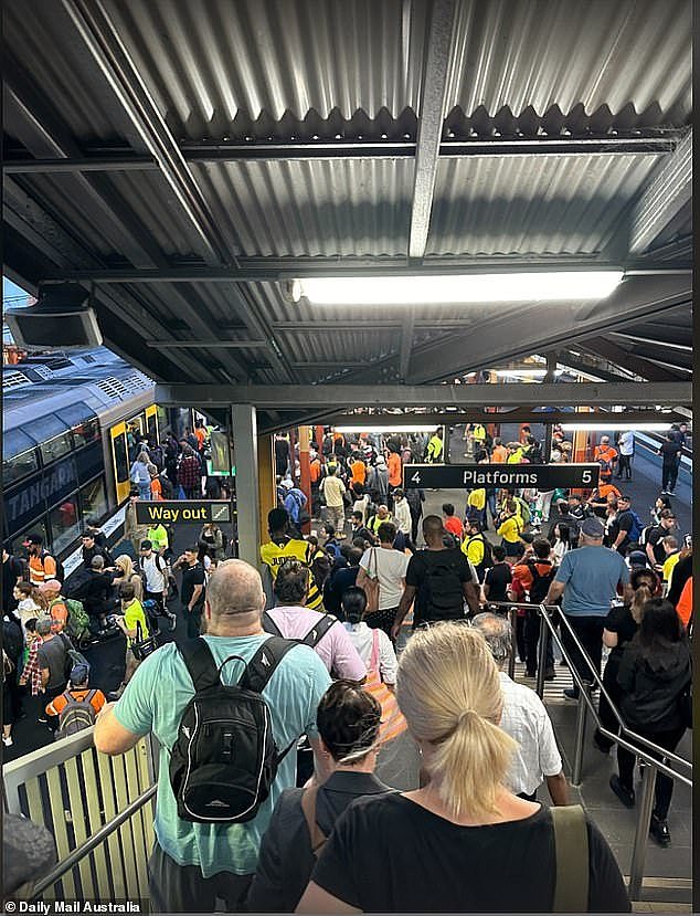Commuters have been warned to expect delays after a teen fell off a train between Sydenham and St Peters stations. Pictured is Sydenham station early Tuesday morning