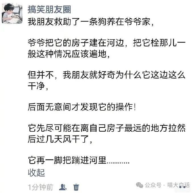 【爆笑】“穿羽绒服千万不要拉帽子！”哈哈哈哈哈哈真的很容易让人误会啊（组图） - 54