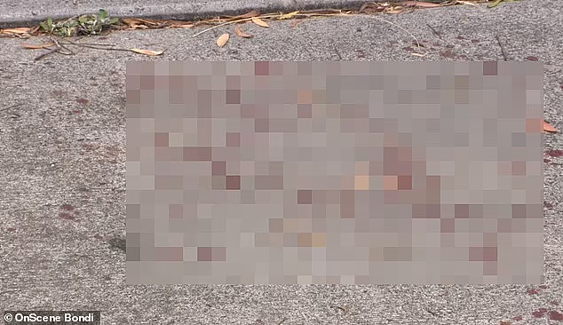 悉尼女子遭男子用刮漆刀刺伤，3名路人出手相助！现场血迹斑斑（视频/组图） - 6