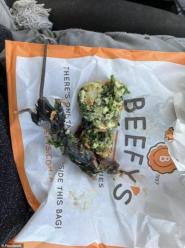 The Birsbane tradesman found a dead rat inside a lettuce and leg ham wrap he bought from Beefy's Pies at Aussie World in Palmview