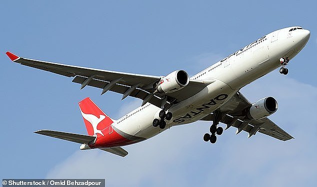 Qantas said their 'ground handling provider' told them the baggage handler 'will never work on Qantas Group aircrafts again