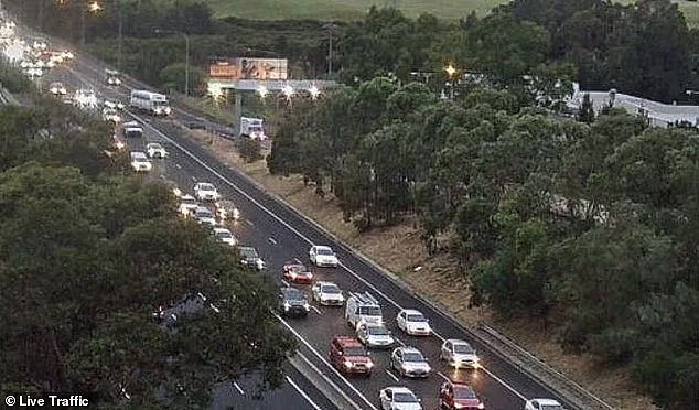 悉尼今晨发生多起车祸！M4、M5车道关闭，引发交通瘫痪（图） - 2