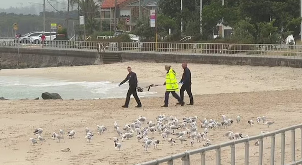 尸体冲上悉尼知名海滩！死者身份不明，警方介入调查（组图） - 2