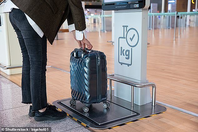 The traveller's first tip was to always try to be one of the last people to board (stock image)