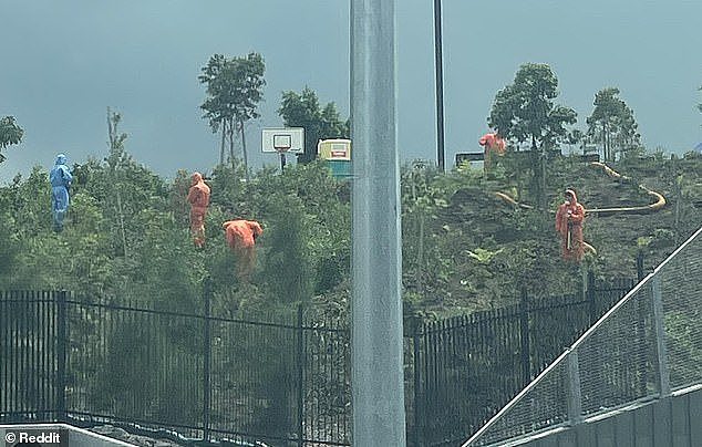 Locals have had flashbacks to scenes from the pandemic after workers were seen inspecting a park in Rozelle (pictured) in Sydney's inner west due to contaminated mulch