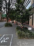 疑含致癌物，悉尼街头大量园圃被隔离！行人吐槽：胶带也能避免污染？（组图）