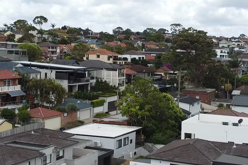 悉尼多地拟重新分区建高密度住宅！业主收到开发商收购offer怎么办？专家建议来了（组图） - 4