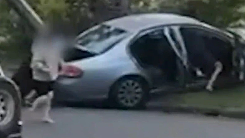 澳teenager超速行驶酿车祸，引发停电！逃跑时被居民合力制服（组图） - 4