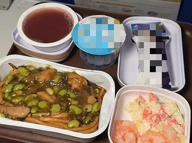 飞往澳洲的外国妹子吐槽中国某航班飞机餐难吃死了！瞬间，评论区沦陷了（组图） - 7