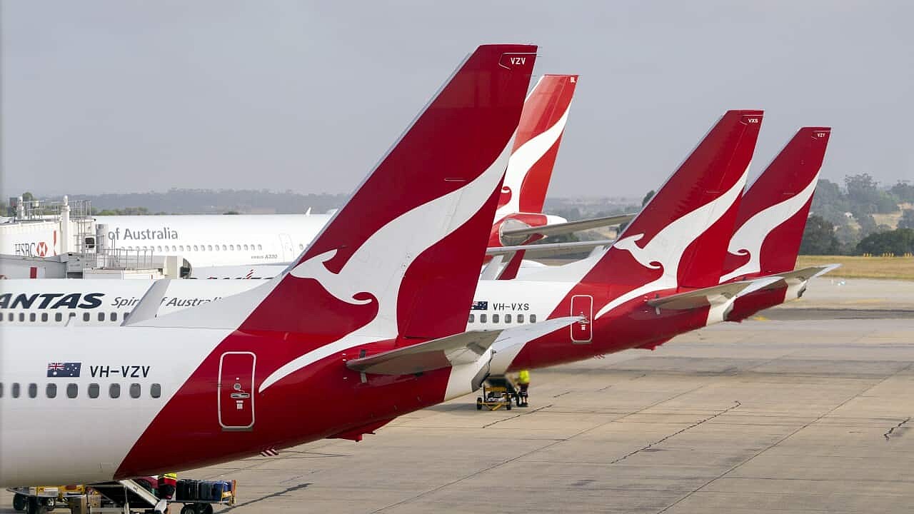 Qantas says people will continue to fly as air travel rebounds despite  soaring cost of living | SBS News