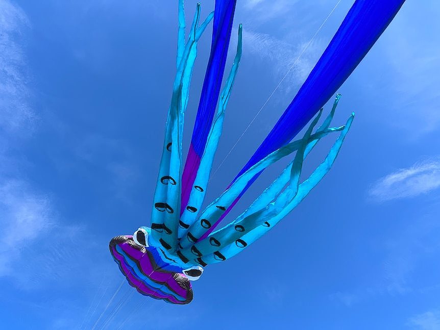 High up in blue sky, a huge soft kite made of blue and purple fabrics in shape of a cuttlefish
