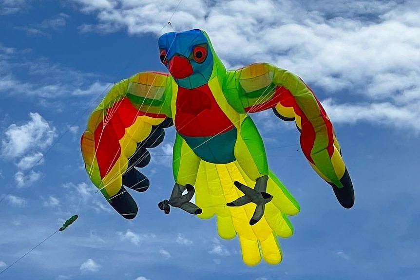 特伦特·贝克的鹦鹉风筝翼展达14米。