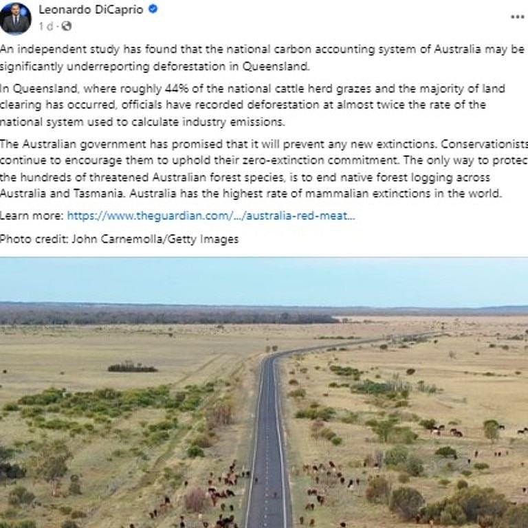 Leonardo DiCaprio said conservationists continue to encourage the Australian government to uphold its zero extinction commitment. Picture: Facebook