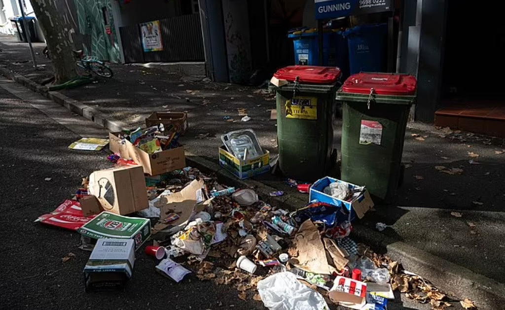 同性恋大游行后，悉尼街道变“垃圾堆”！TikTok视频疯传，网友呼吁停办（组图） - 3
