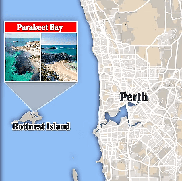 珀斯老鼠岛的这个隐藏海滩，拥有澳洲最清澈海水，周末赶快来打卡（组图） - 3