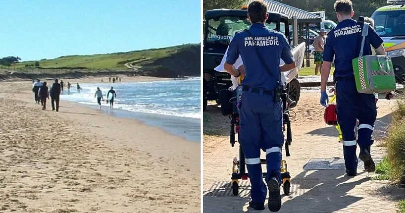小心！悉尼热门海滩惊现毒蛇，有人被咬伤，医护人员紧急出动（组图） - 2