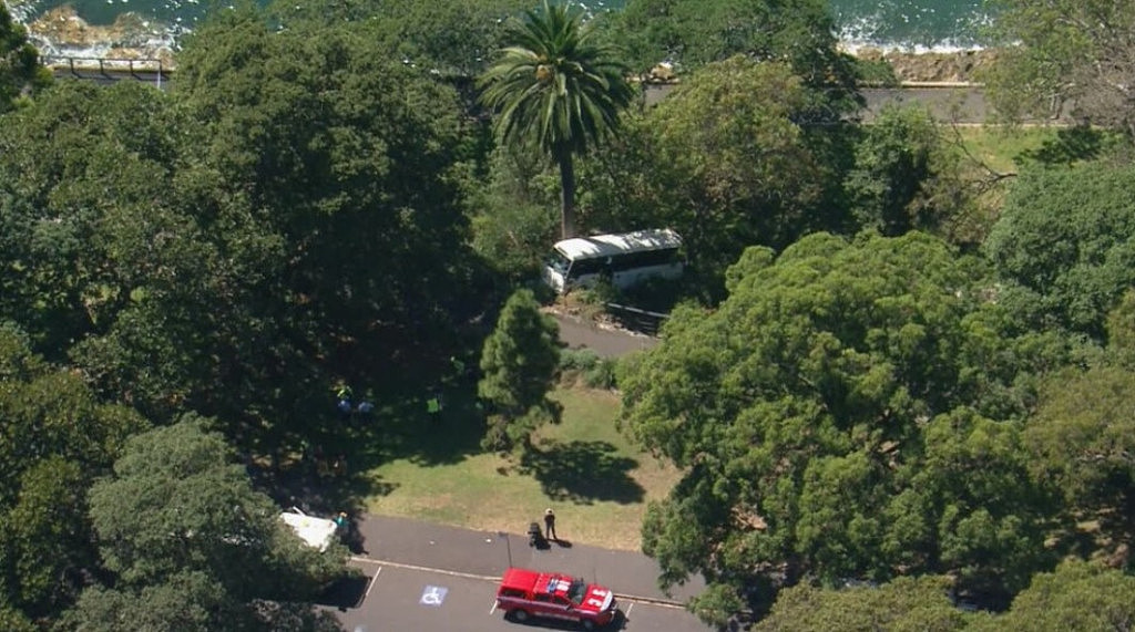 悉尼皇家植物园出事！小巴滚落山坡，救援人员紧急出动（组图） - 2