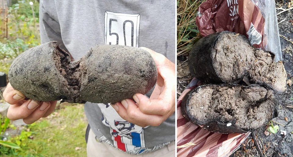 Images of the dark, grey mass found on a beach. The left image shows a person holding it while the right image shows it cut in half.