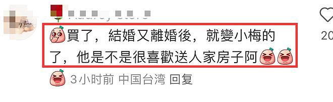 汪小菲宣布将在台湾买房，名字或写女友名下，网友建议买大S楼下（组图） - 12