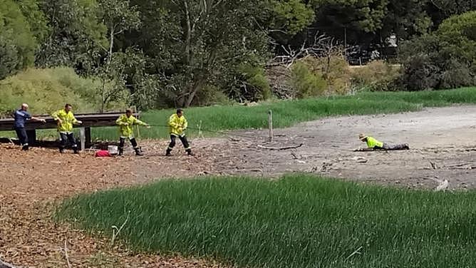Firefighters rescuing man trapped in mud at Lake Claremont.