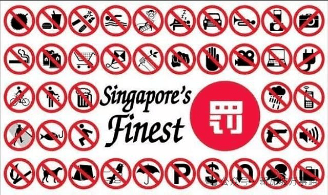 新加坡免签后，超多华人网友分享入境被关“小黑屋”经历！原因竟是...（组图） - 21