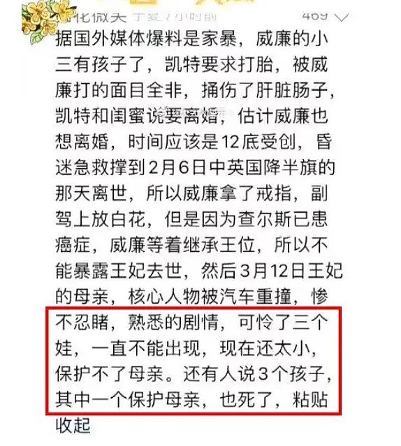 墨尔本医生坚称凯特上个月去世，整个医疗团队飞英国，细节见端倪（组图） - 6