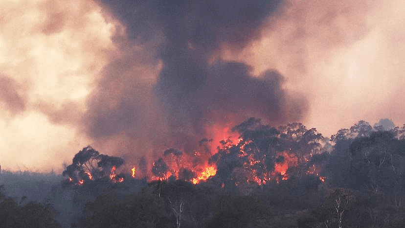 650公顷土地被烧毁！珀斯山火连烧20小时，当局警告：这些地区居民受到威胁（组图） - 2