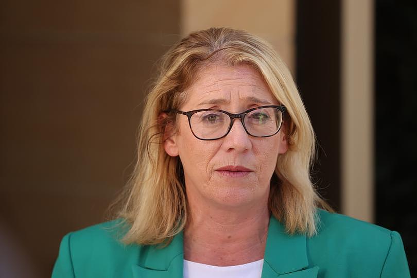 Deputy Premier Rita Saffioti speaks to media outside the south entrance of Parliament House in West Perth. 

