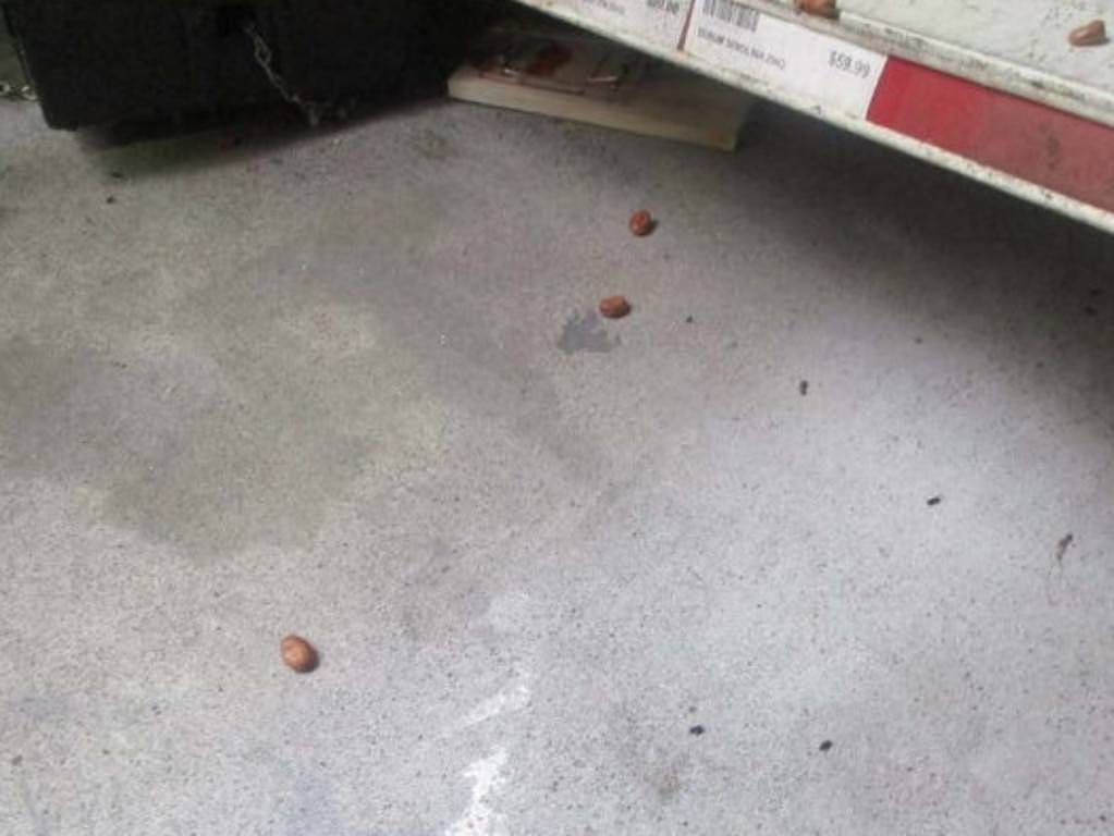 A popular West End supermarket has been fined after rodent droppings were located at the business.