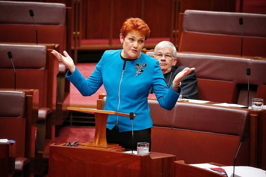 Pauline Hanson throws her hands up in the air during a speech to the Senate.