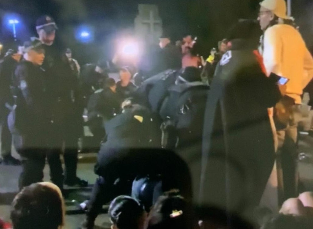 悉尼亲巴集会爆发激烈冲突！抗议者聚集码头与警方“混战”，19人被捕（组图） - 6