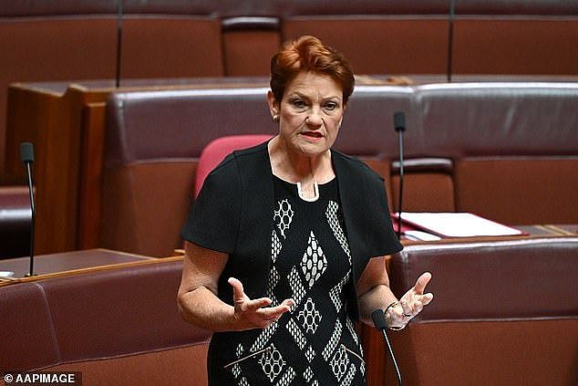 One Nation leader Pauline Hanson has now unveiled a five-point plan to deal with the record immigration levels