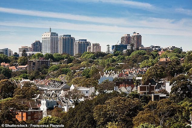 Seven properties in the inner-Sydney suburb of Darlinghurst (pictured) will be given to 'highly at risk' trans women