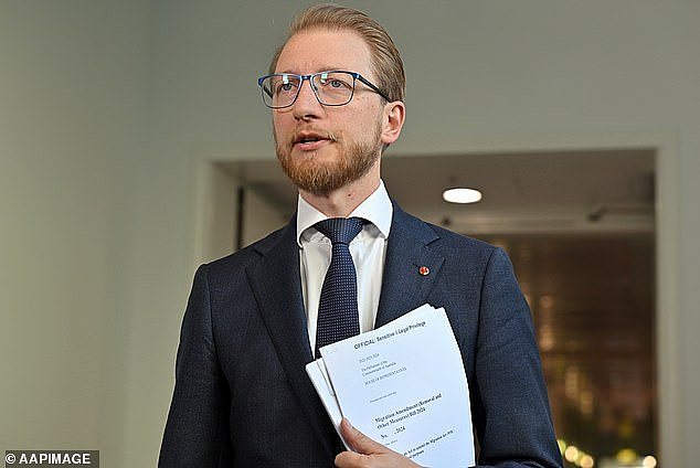 Opposition Home Affairs spokesman James Paterson claimed it was 'rushed patch-up job' to get through the new legislation