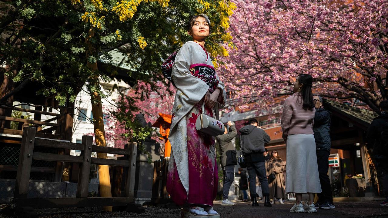 Cherry blossom season in Japan is a huge drawcard for visitors, with extra airline capacity from Australia helping to deliver more tourists. Picture: Yuichi Yamazaki/AFP