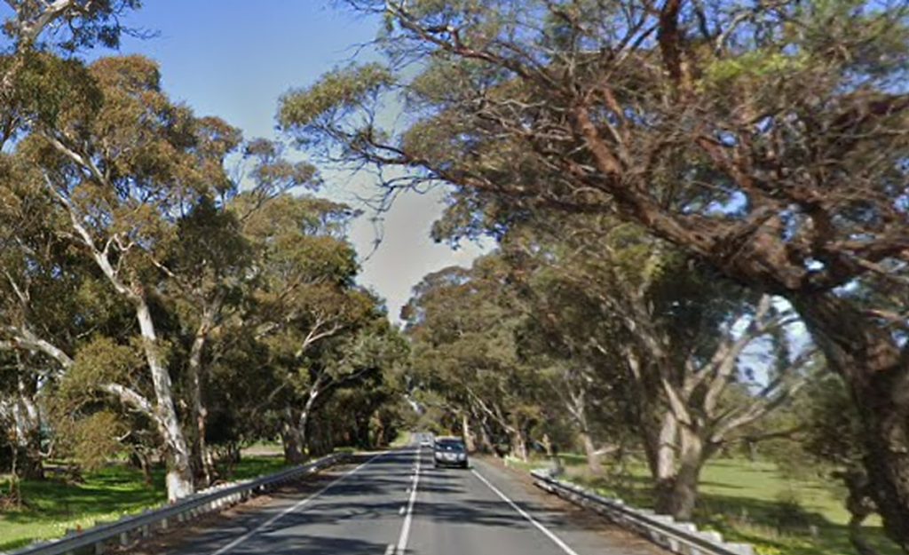 盘点澳洲各地最糟糕道路，司机坦言“害怕上路”（组图） - 7