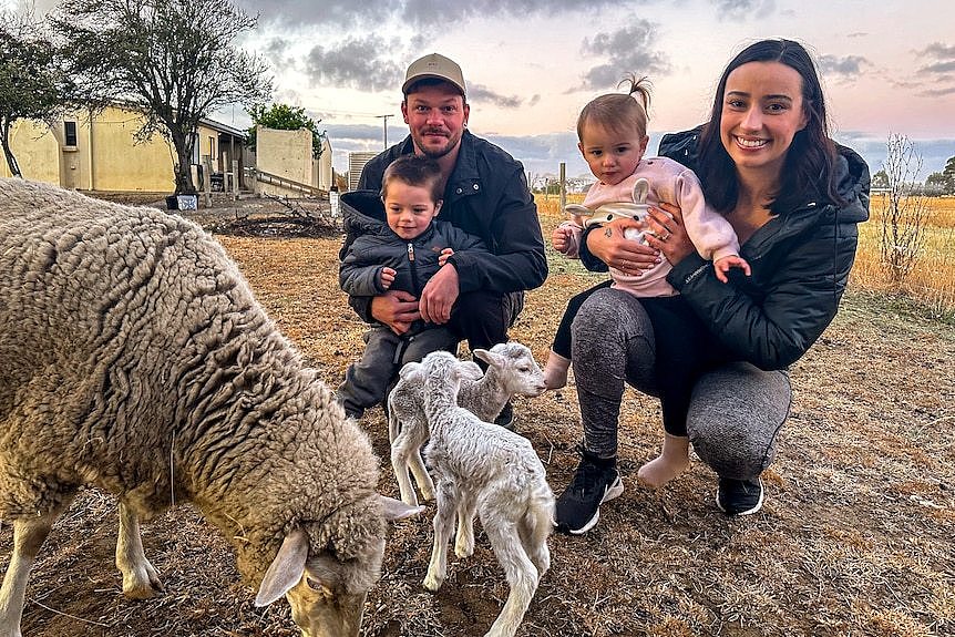 Brad holds Nate and Shannon holds Mila next to lambs and sheep