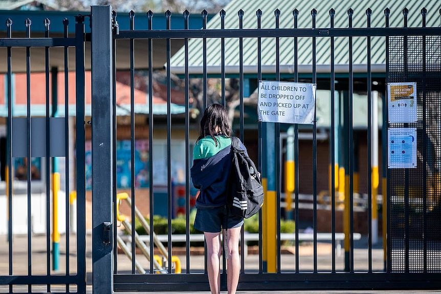 新南威尔士州公立学校提出的任何“应报告行为”指控都会提交给州教育部，由教育部从其职业和道德标准小组中任命一名调查员。