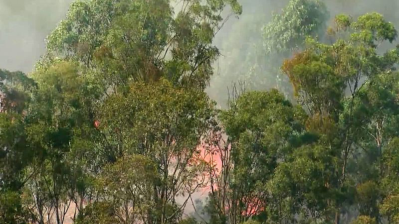 悉尼西南部接连发生3起草地火灾！火势威胁民宅，居民直呼“可怕”（视频/组图） - 3