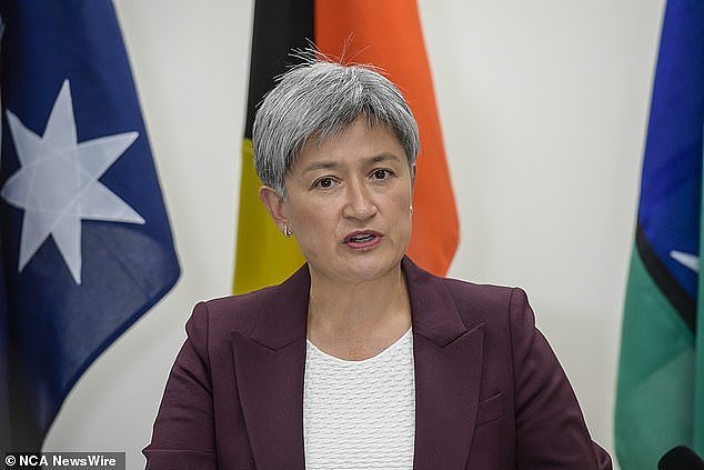 Penny Wong (pictured) has sparked uproar with a seemingly innocuous social media post